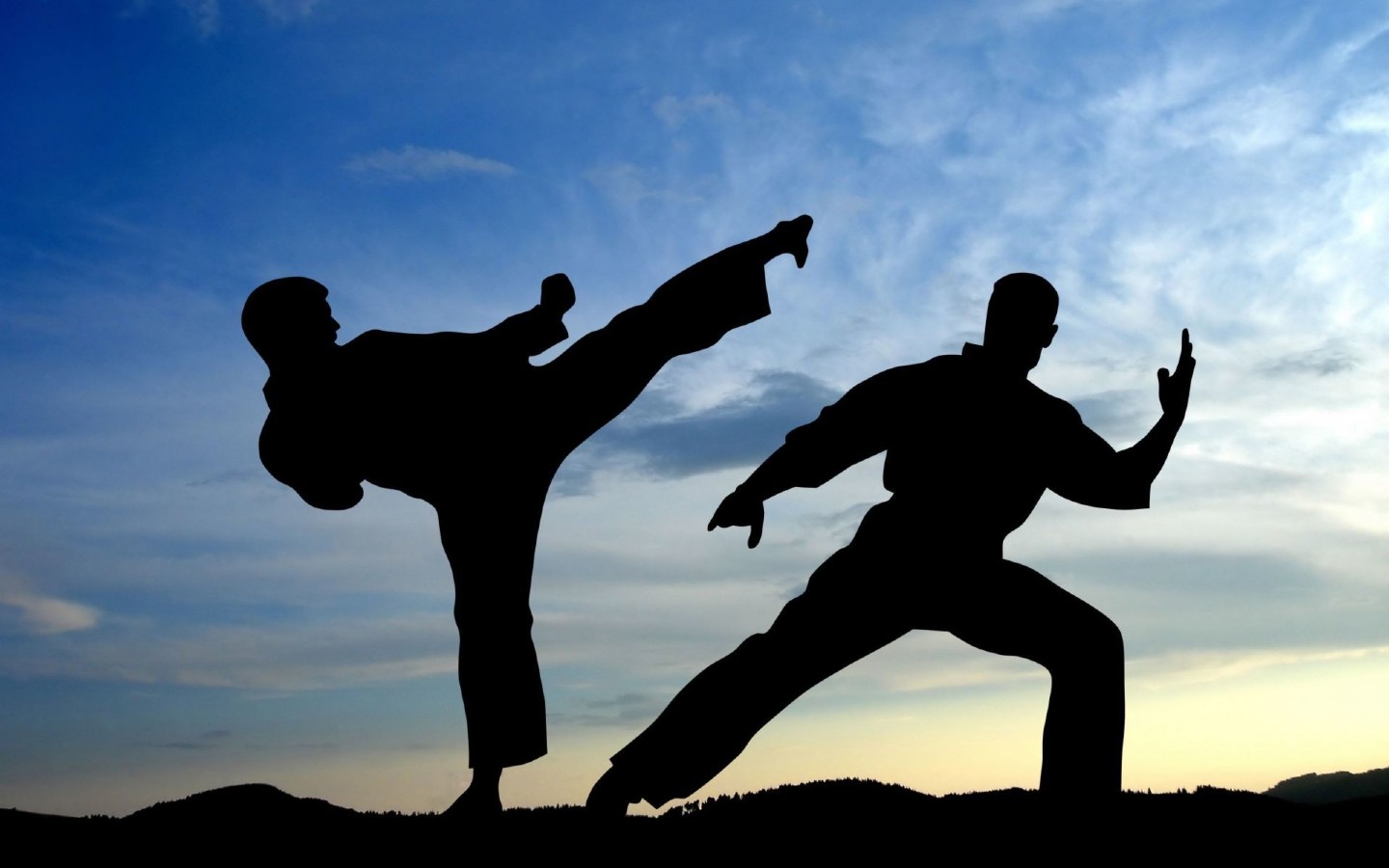 Top 10 Martial Arts Channels on YouTube | Vidooly Blog